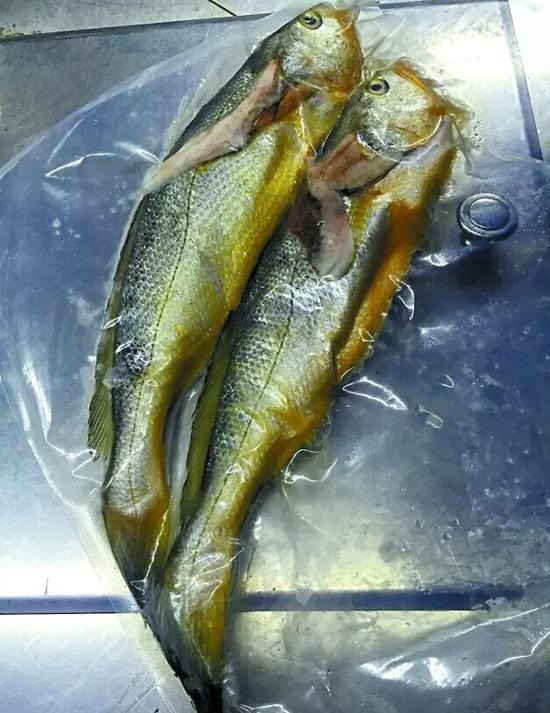兩條小黃魚賣4628元：沒有菜牌，也沒有價(jià)格公示