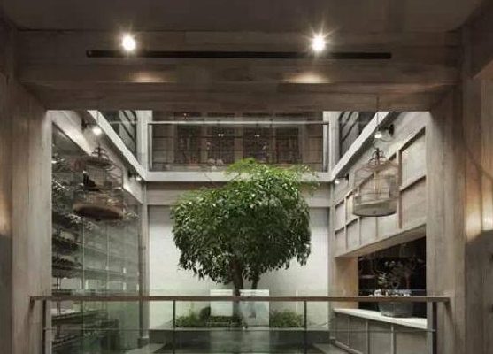 餐廳運用上這些植物裝飾，格調空間立馬不同
