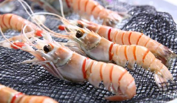 進口食品需求每年遞增15%，餐飲人卻還是找不到渠道？