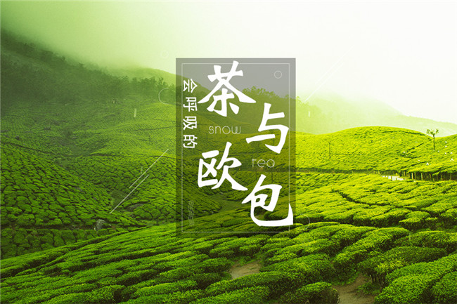 9個(gè)月開(kāi)600家店，漫雪的茶憑啥攻占全國(guó)市場(chǎng)？|餐飲界