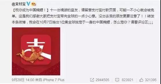 “錦鯉”火了，為什么我不建議跟風蹭這個大熱點？