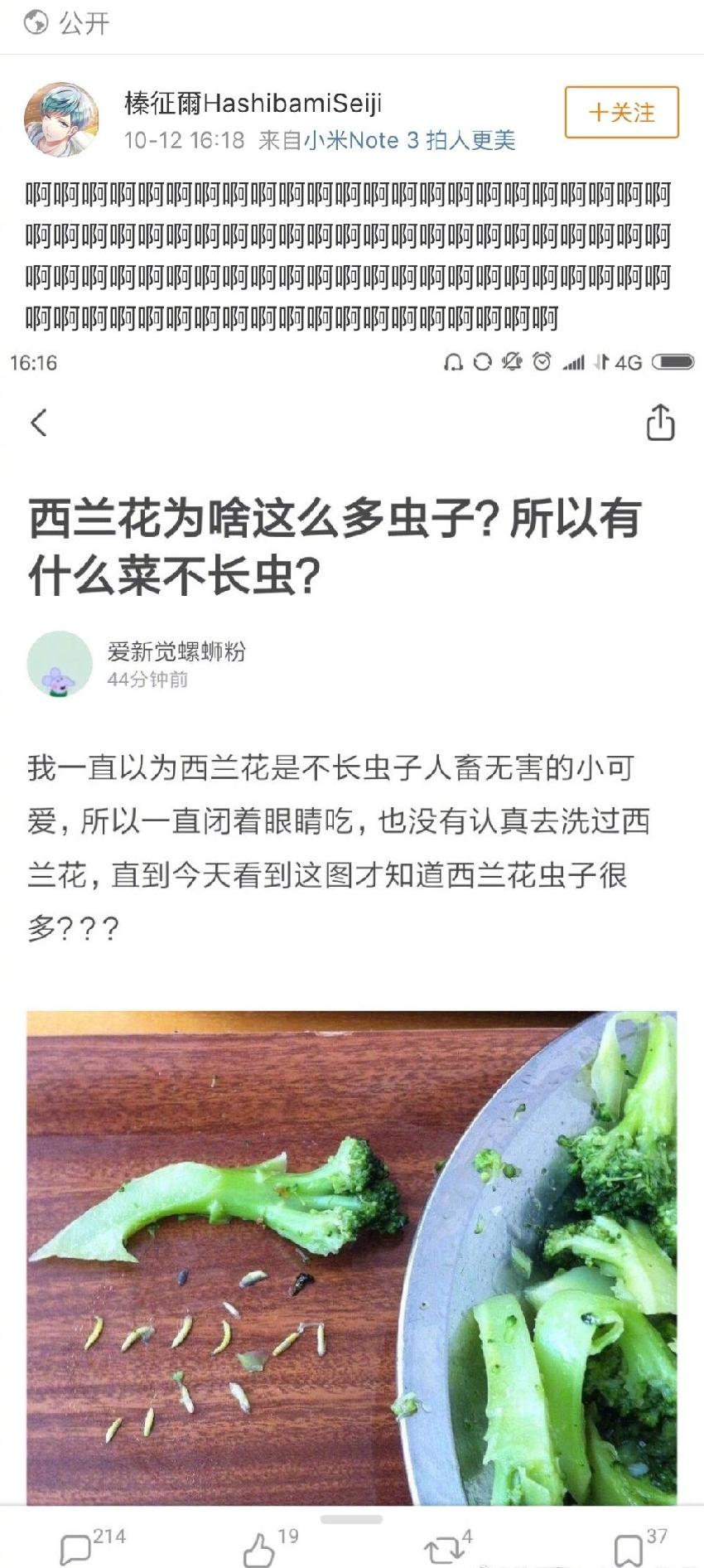 如何去掉西蘭花上的蟲子？99％的人不會處理啊
