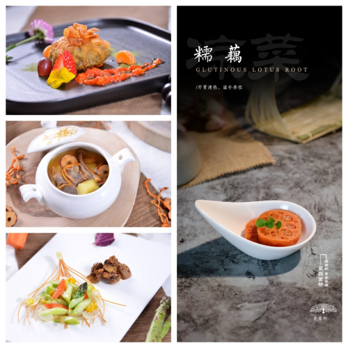 素食革命：如何通過純素飲食打造健康身體？美素軒為你揭秘|餐飲界